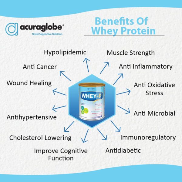 whey protein